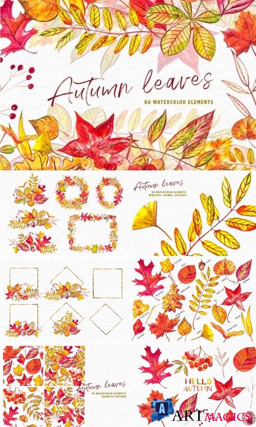 Autumn leaves - 3471675