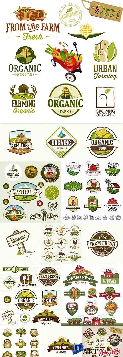 Farm organic fresh market food natural vintage emblem