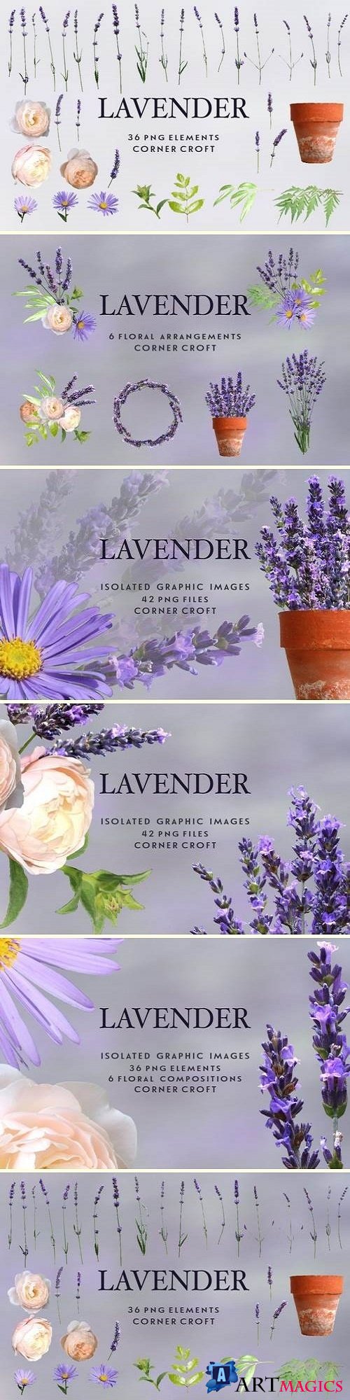 Lavender clipart, Isolated Lavender - 2795130