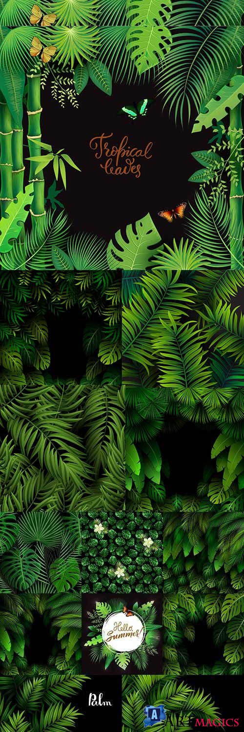 Summer tropical green leaves palm tree exotic backgrounds