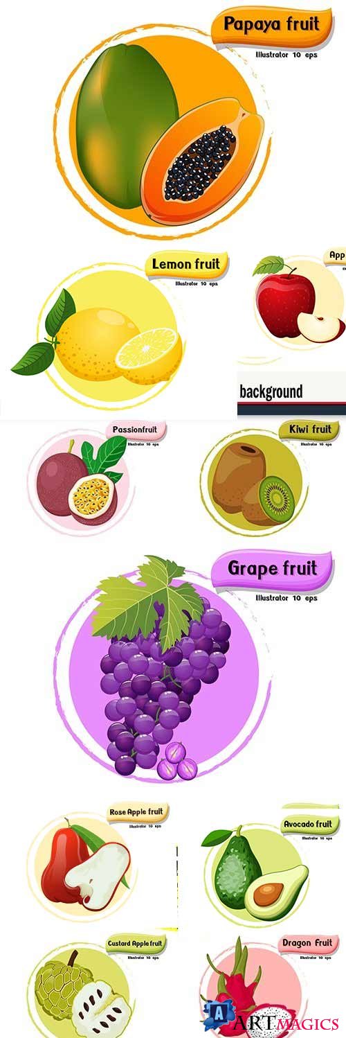 Vector fruit isolated on color design background