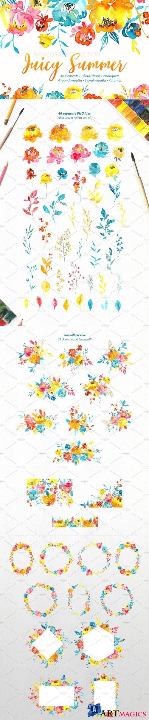 Watercolor Summer Flowers Collection - 2536576