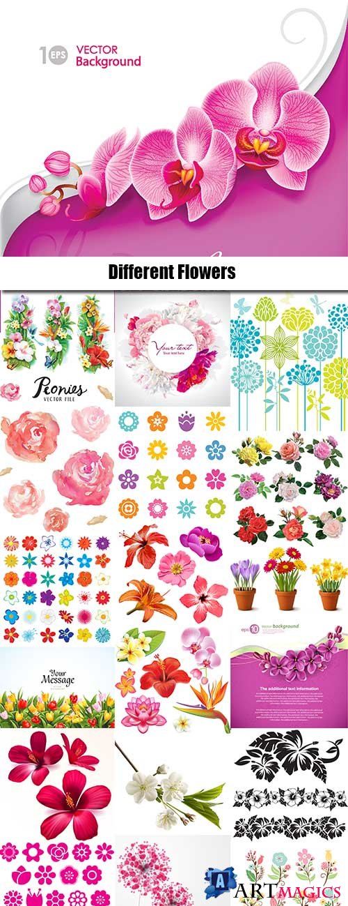 Different Flowers  in vector from stock - 25 Eps