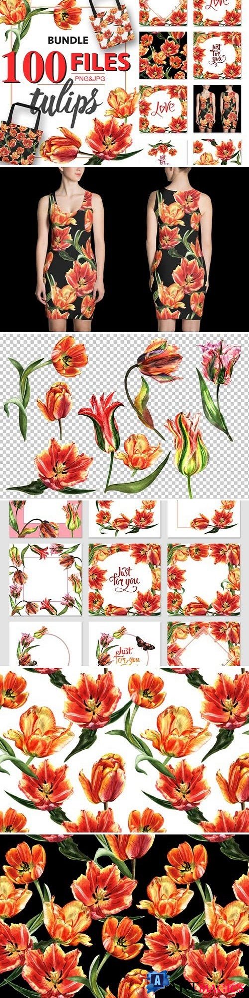 Tulip PNG watercolor flower set - 1857948