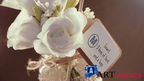 Six Wedding Invitations 102894 - After Effects Templates