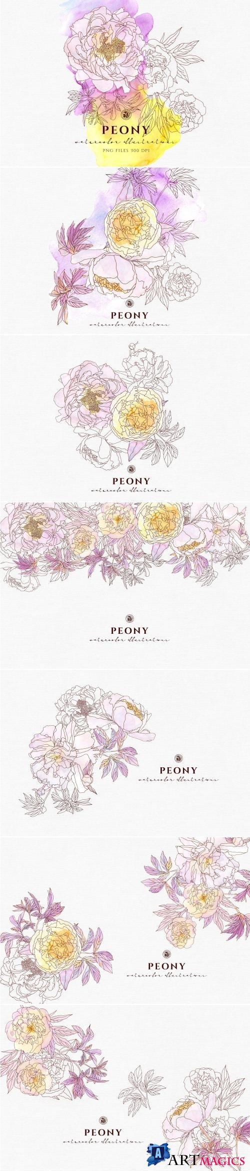 Peony Flowers - 2918781