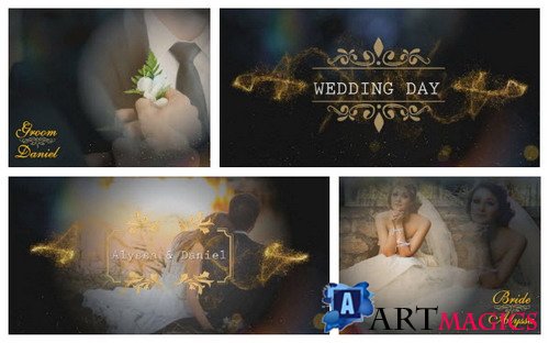  ProShow Producer - Wedding Title Pack 6