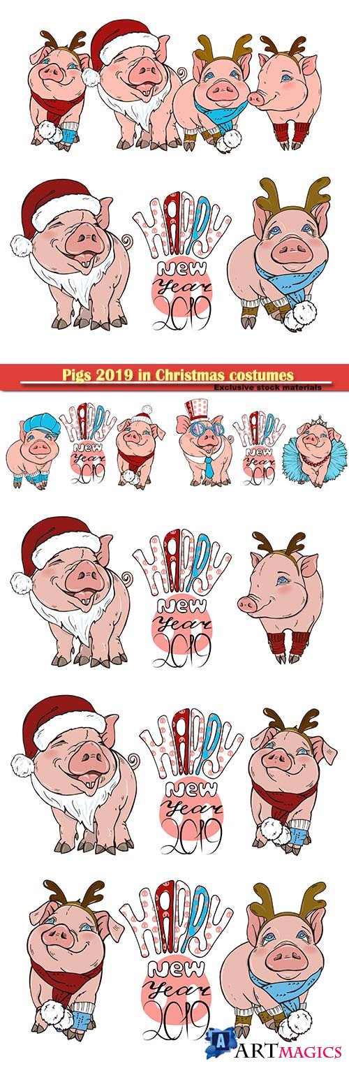 Pigs 2019 in Christmas costumes, vector illustration