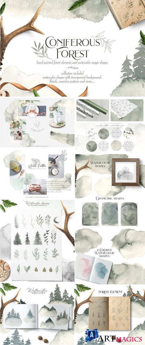 Coniferous forest collection - 2706919
