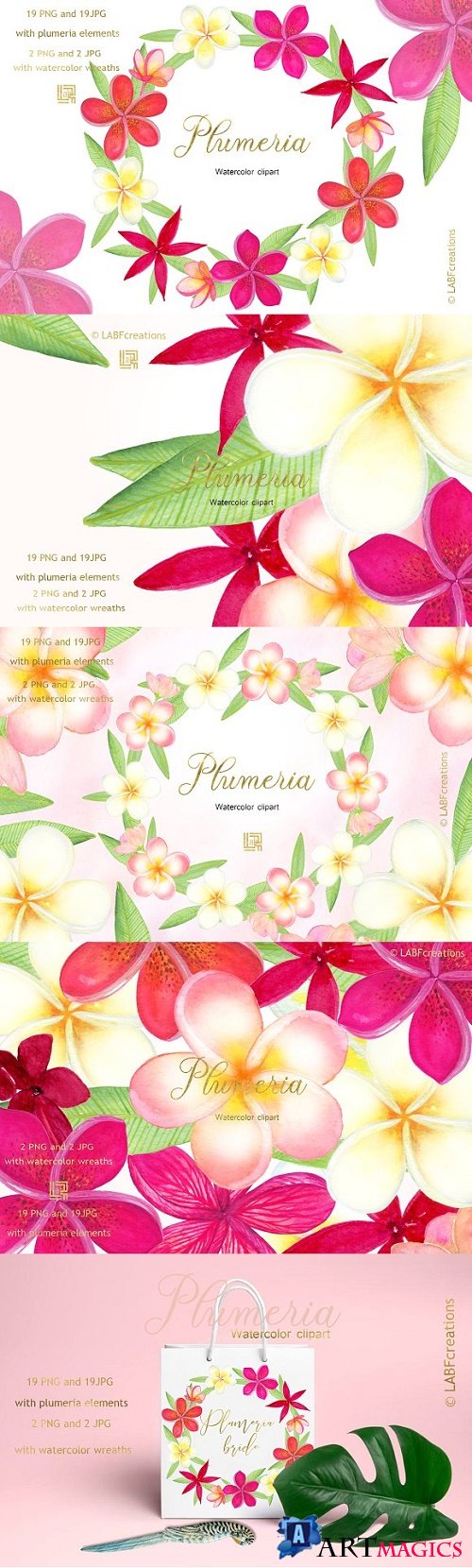 Plumeria Tropical watercolor flowers - 2906899