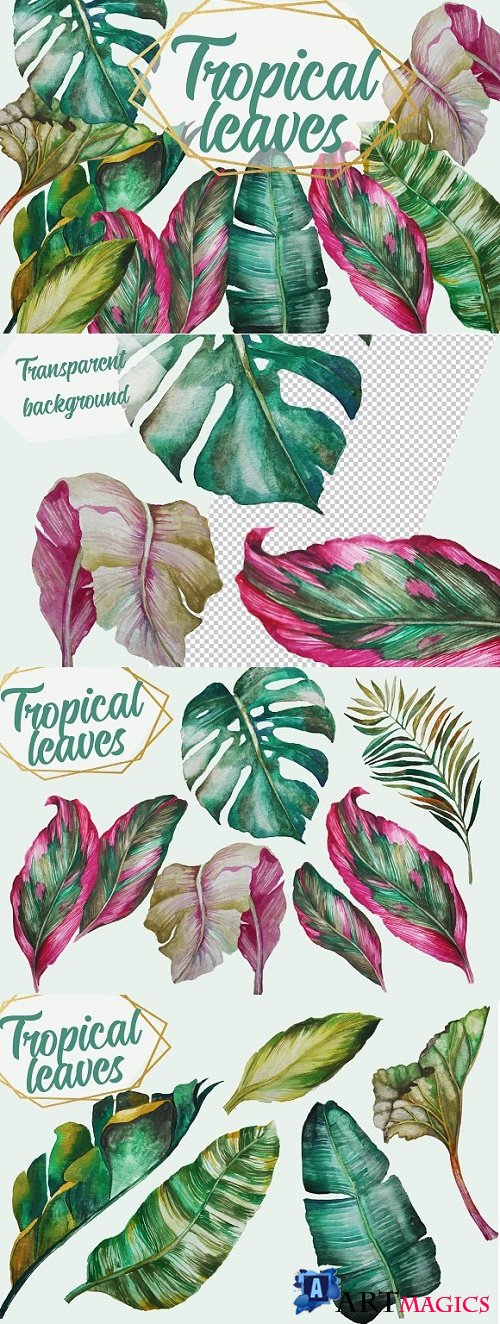 Tropical Greenery, Tropical Leaves - 2661764