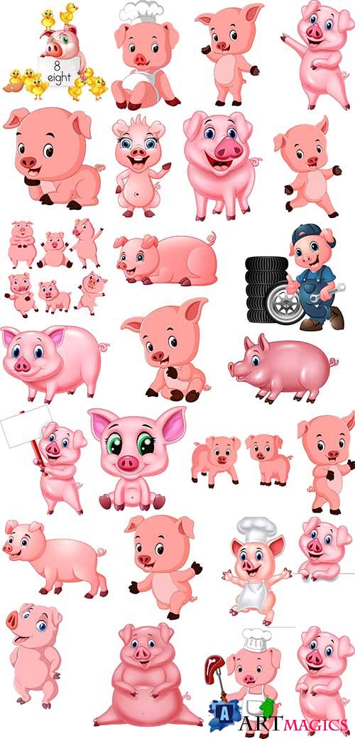  2019  -    / Symbol of 2019 - Pig in vector