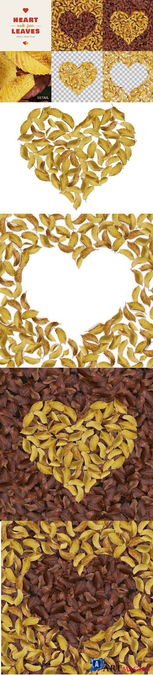 Heart Made From Leaves