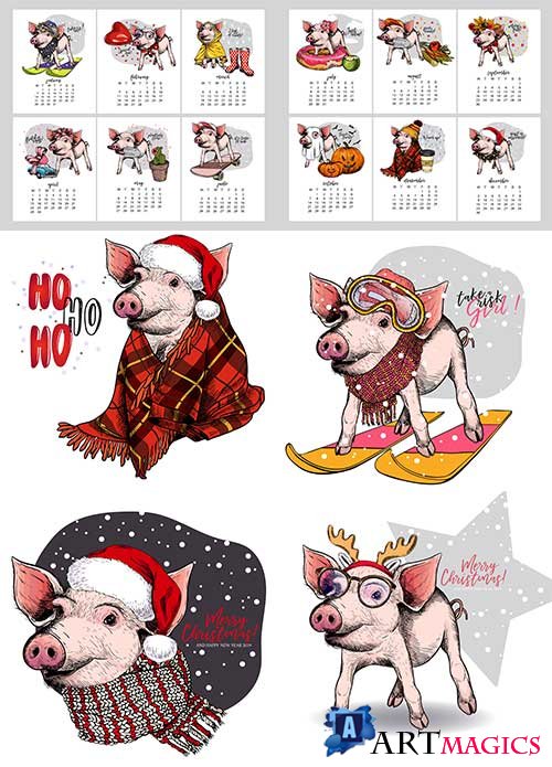      2019   / Funny pig and calendar 2019 in vector