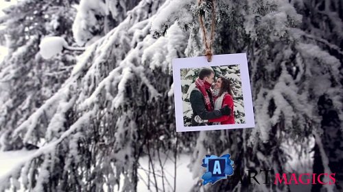 Photos In The Winter Forest 161931 - After Effects Templates