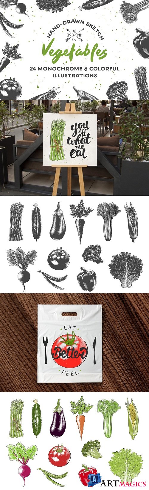 Collection of hand-drawn vegetables 2342132