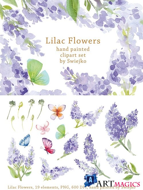 Watercolor Lilac Flowers, Butterfly - 1495576