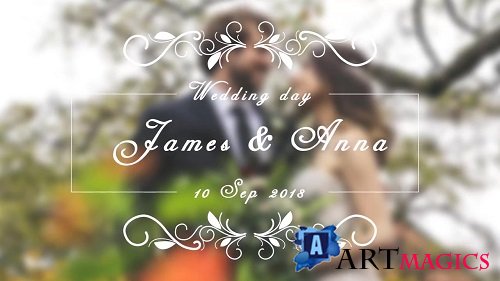 Wedding Titles 140195 - After Effects Templates