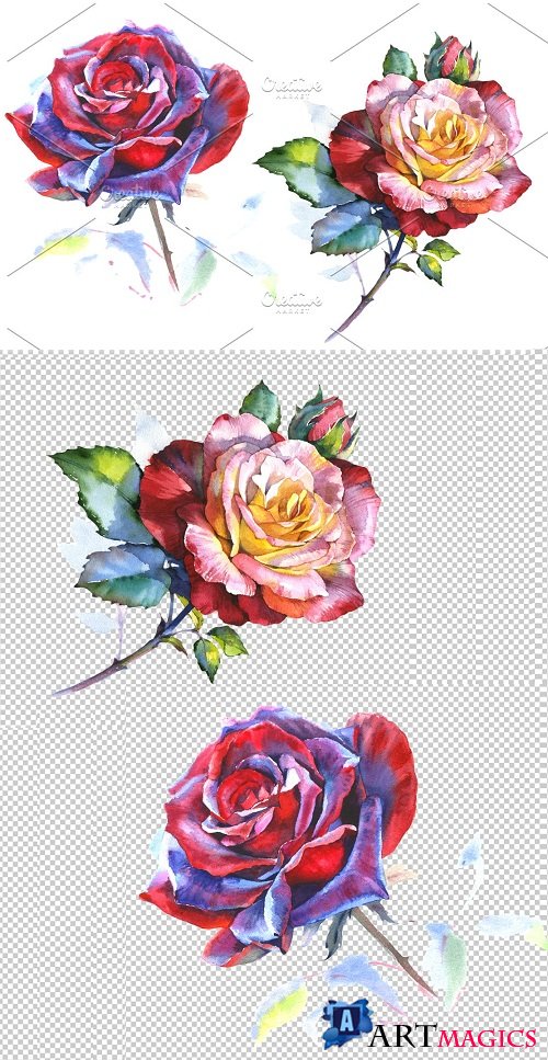 Stunning big red rose PNG watercolor - 2834929