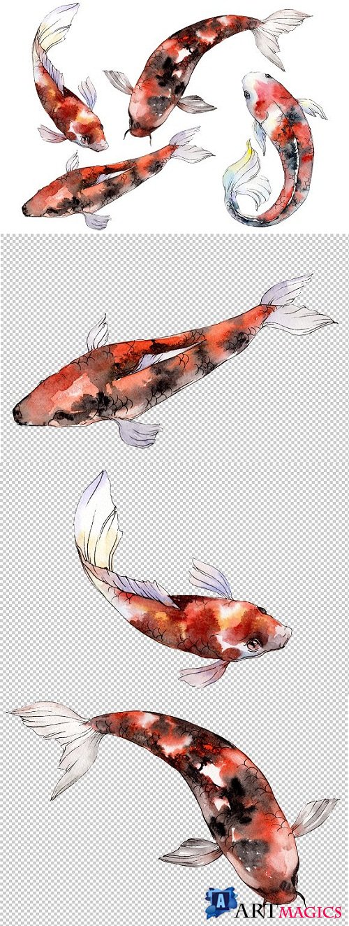 Gold fish Watercolor png - 3413349