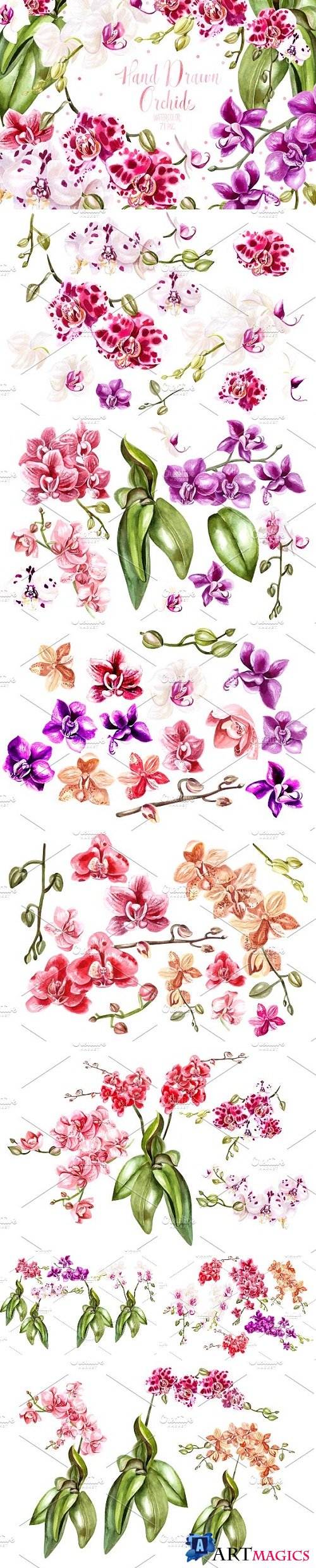 Hand Drawn Watercolor Orchids 2 2360685