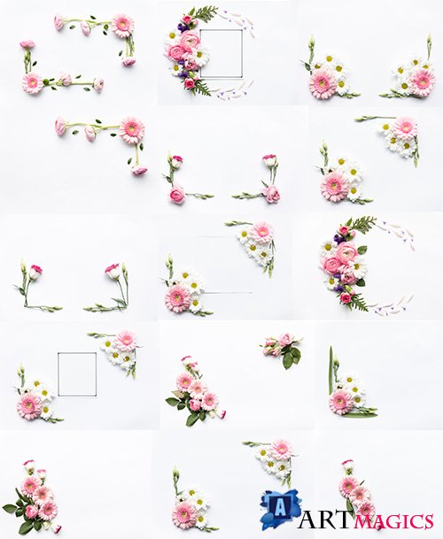      -   / Beautiful flowers on white background - Raster clipart