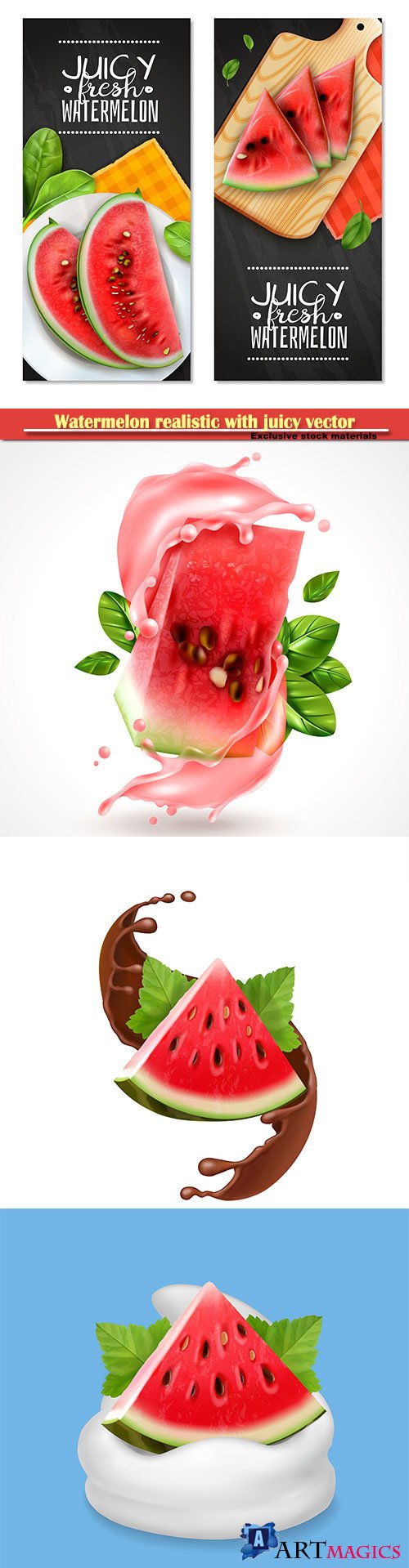 Watermelon realistic with juicy vector illustration
