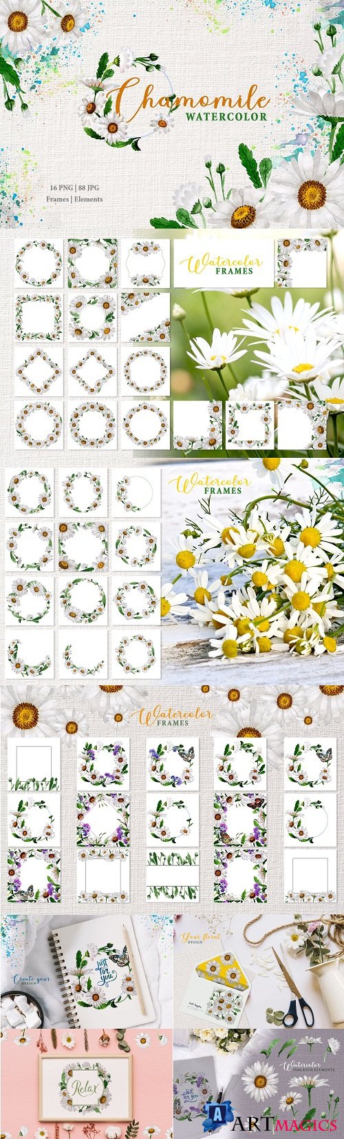 Chamomile Watercolor png - 3449948