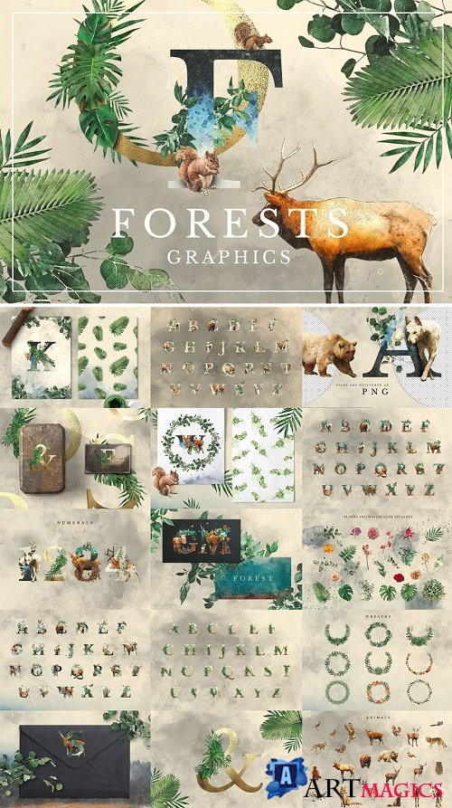 Forest Illustrations Graphics Kit - 3023941