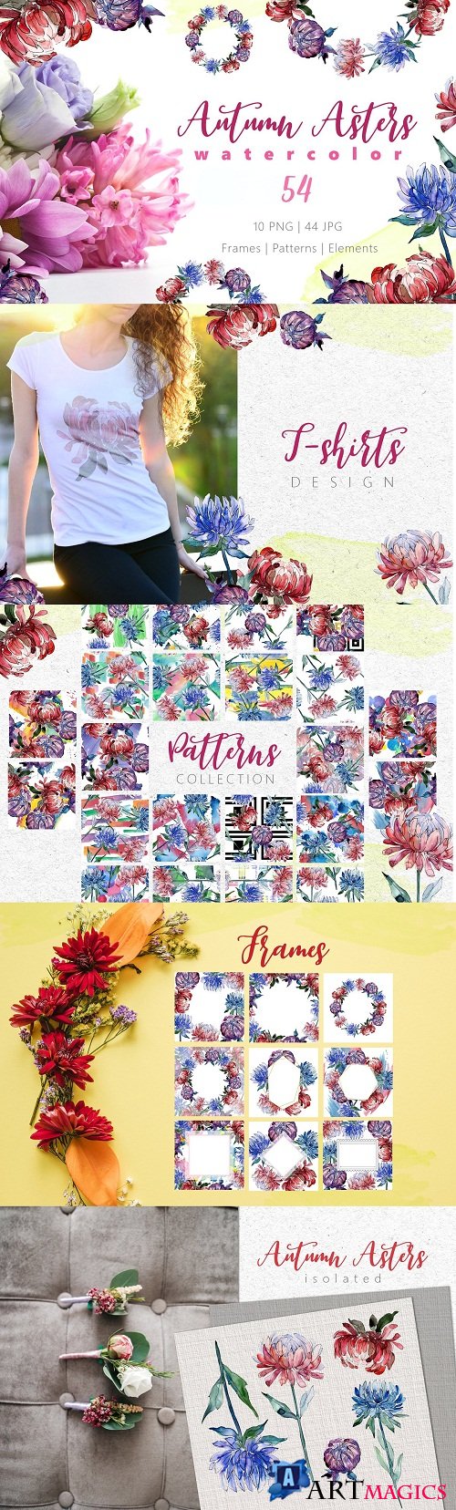 Autumn Asters Watercolor png - 3453032