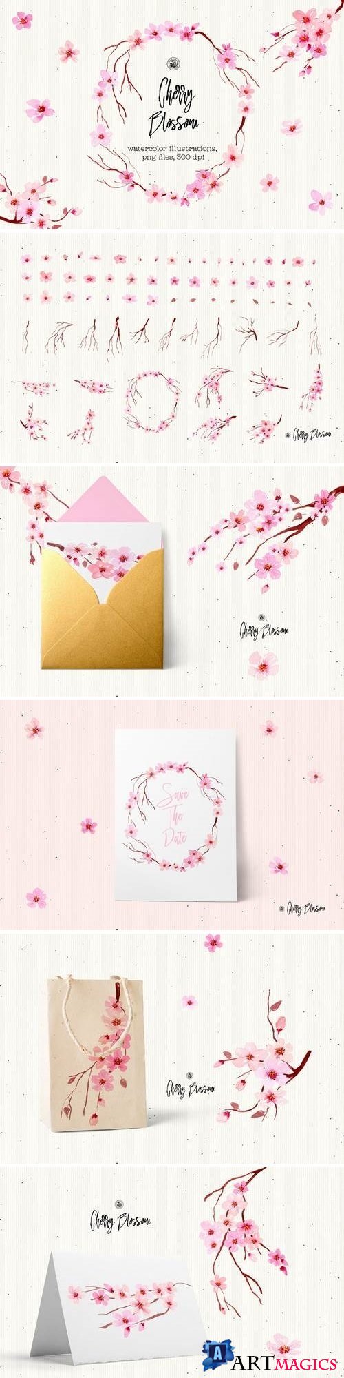 Cherry Blossom Flowers - 3461867