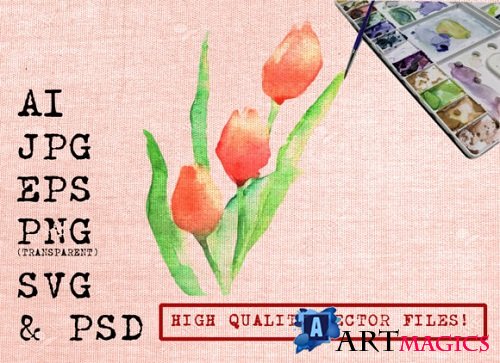 Red Tulips Watercolor
