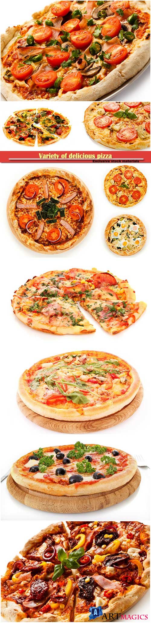 Variety of delicious pizza