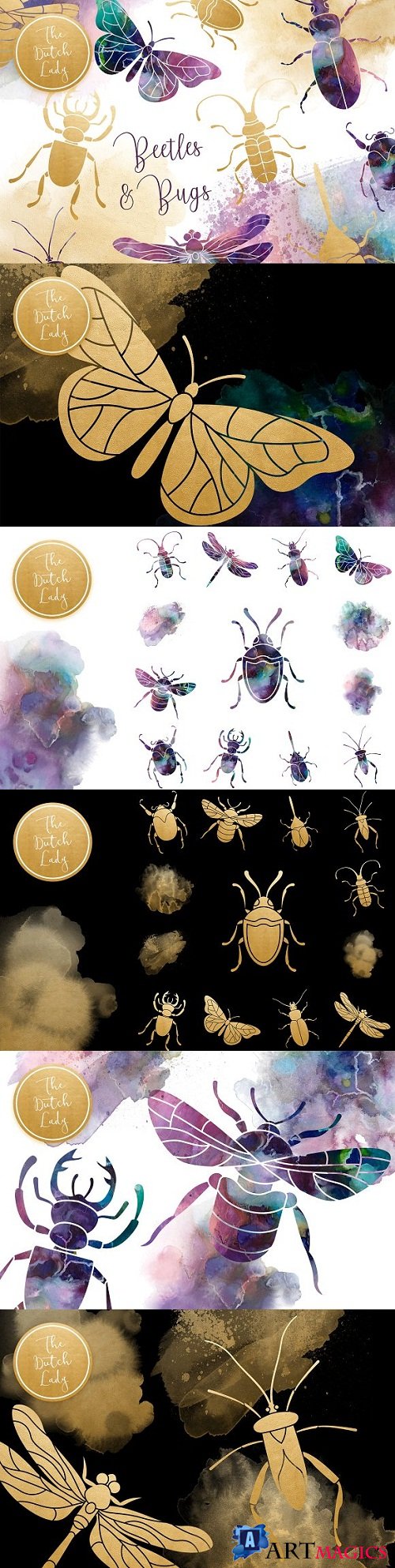 Beetles & Bugs Clipart Set - 3495876