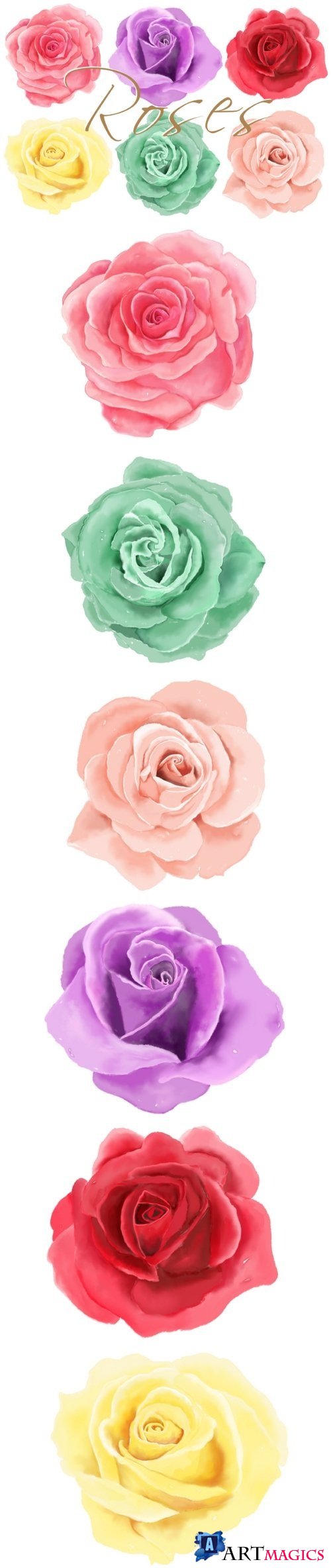 6 Digital Watercolor Roses | Clip Art Illustra - 216015