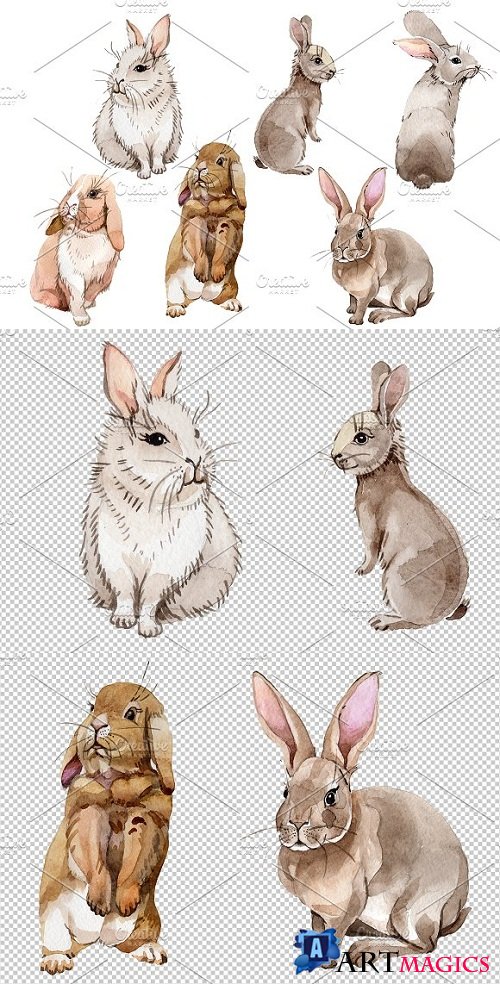 Easter bunny Watercolor png - 3494565
