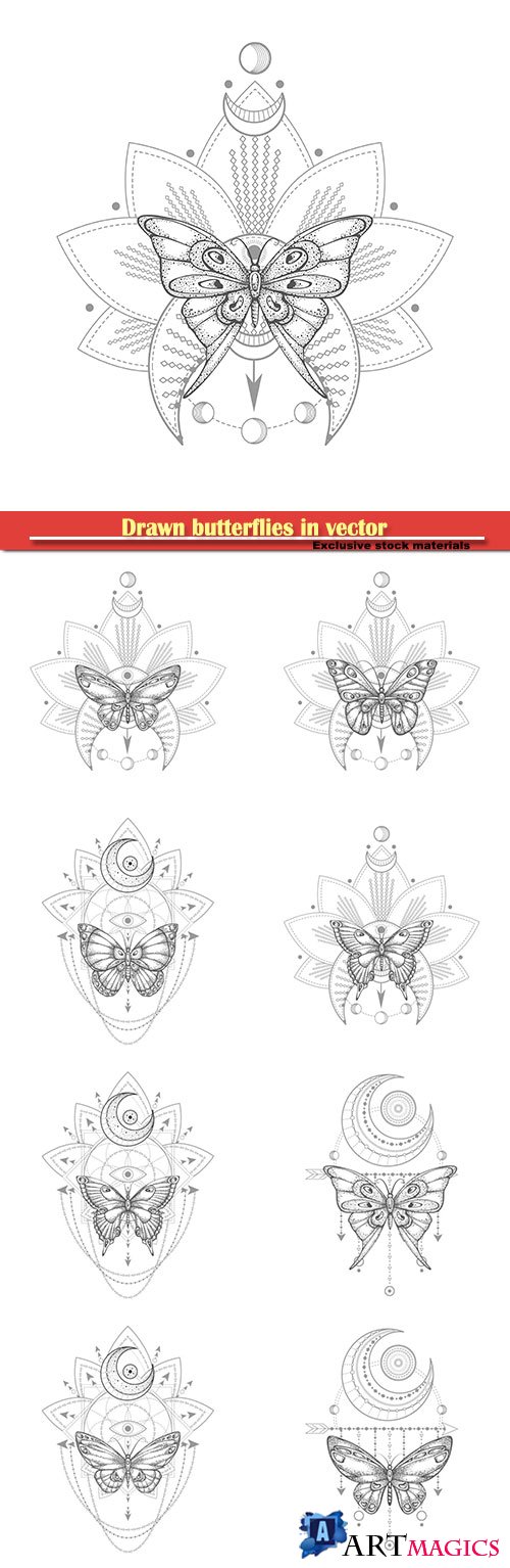 Drawn butterflies in vector, tattoo design