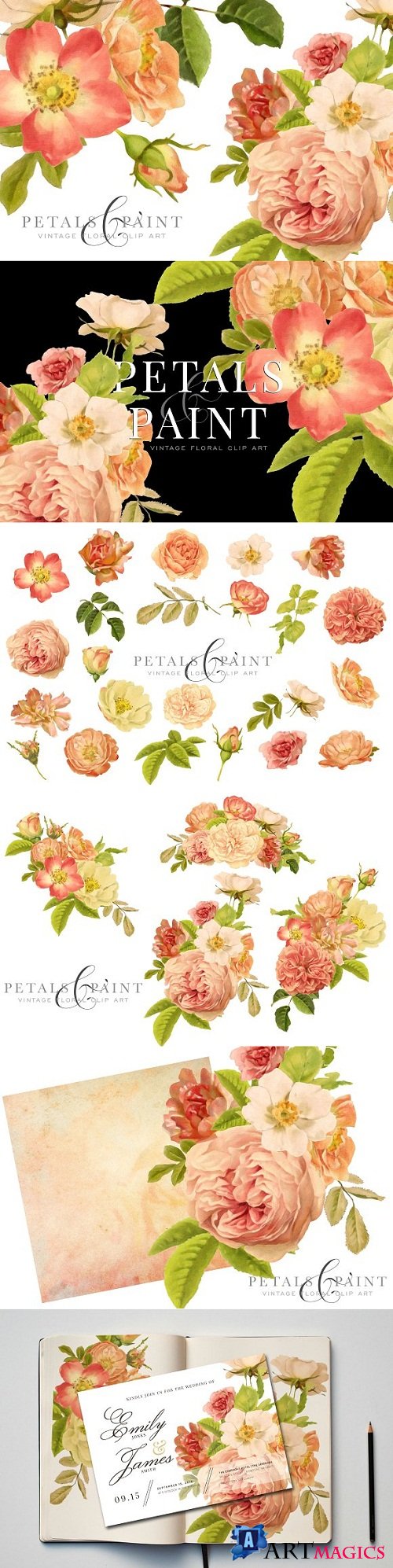 Petals & Paint - Floral Clip Art 2828197