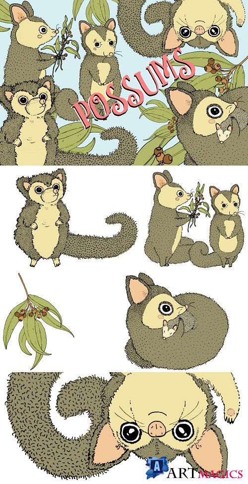 Possums | 5 cute images | Clip art illustration - 179058[