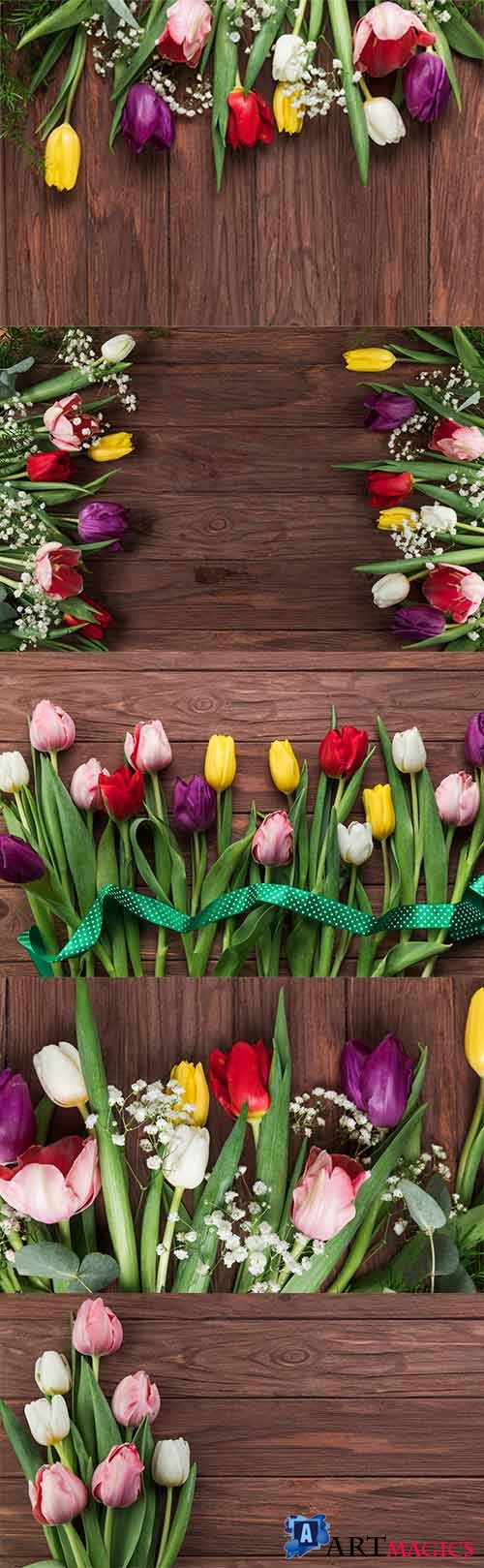     -   / Backgrounds with beautiful tulips - Raster clipart