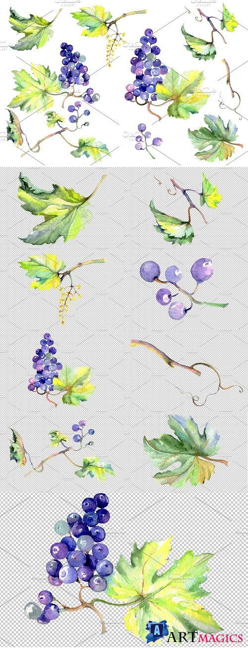 Grapes Watercolor png - 3546424