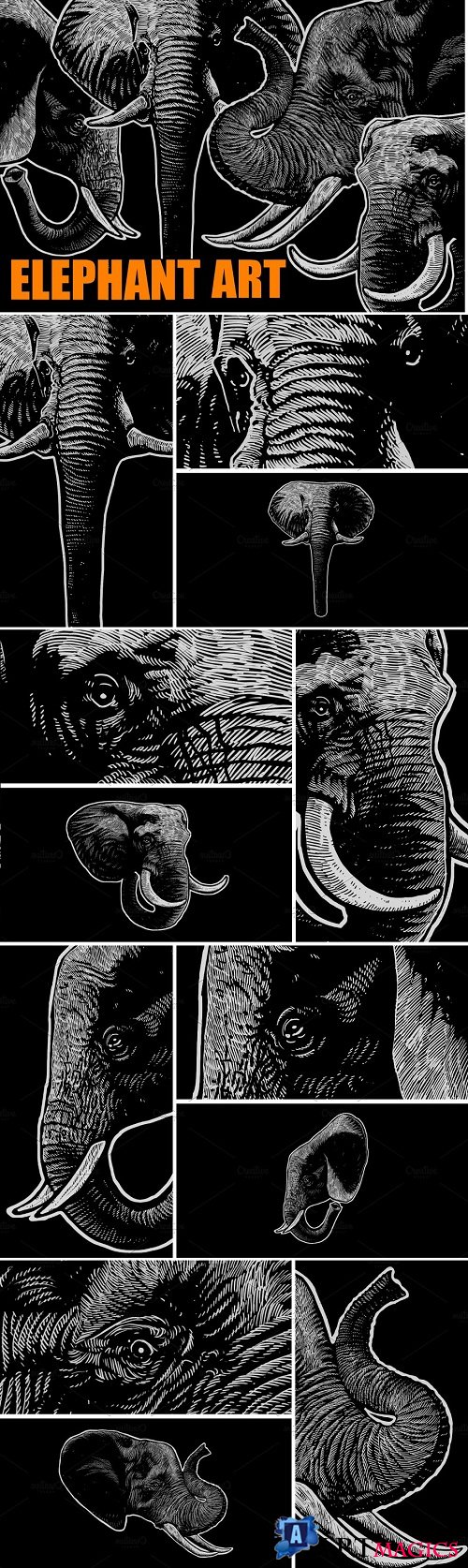 Elephant ART - 3089386