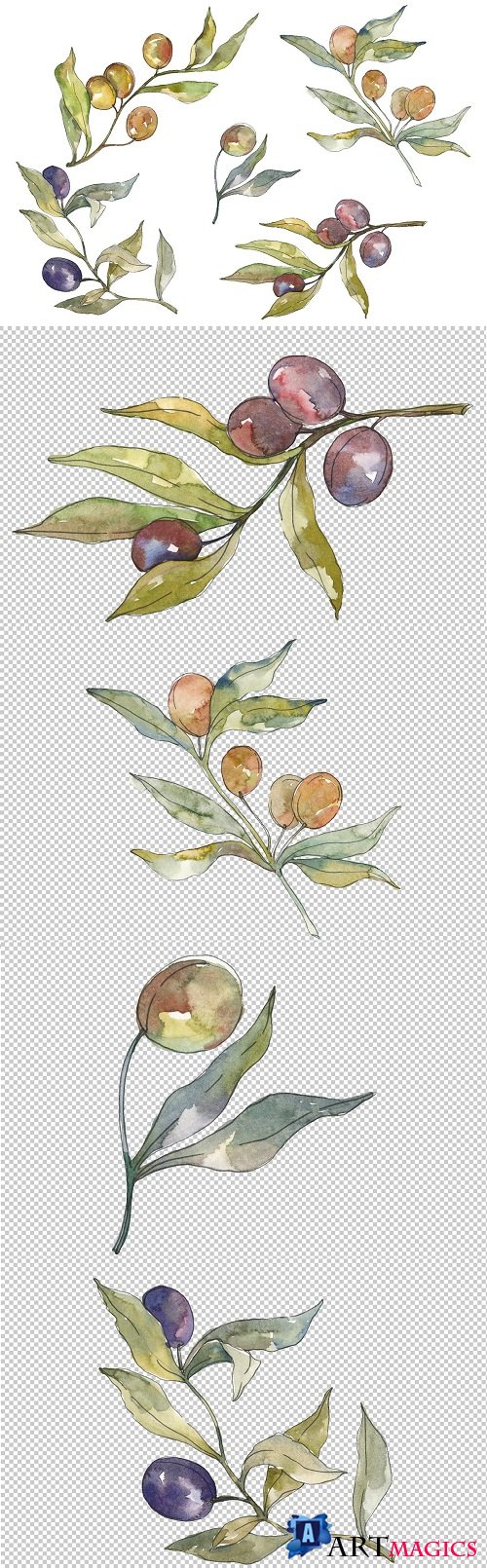 Olives Watercolor png - 3584162