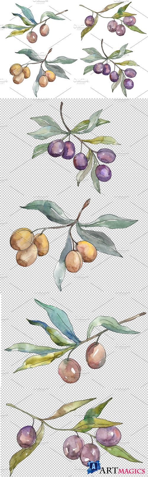 Olives 2 Watercolor png - 3584469