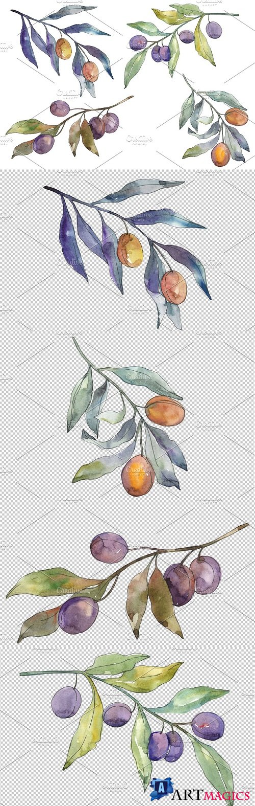 Olives 3 Watercolor png - 3584505