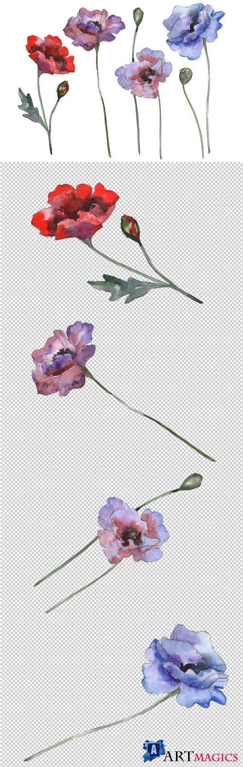 Poppy 1 Watercolor png - 229877