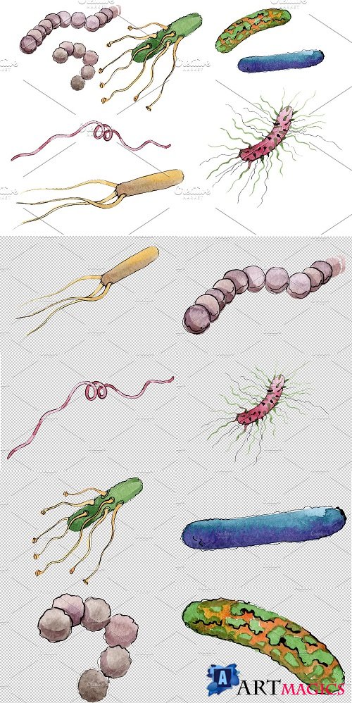 Microbes 1 Watercolor png - 3584076