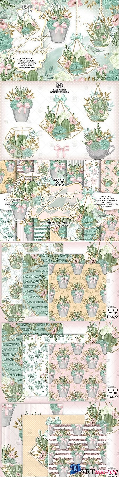 Sweet Succulent design and digital paper pack