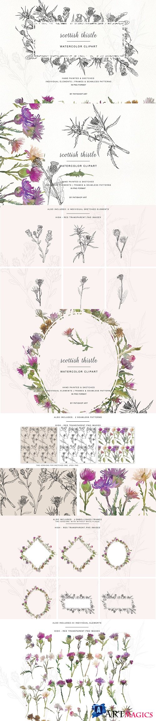 Hand Painted & Sketched Thistle - 3607253