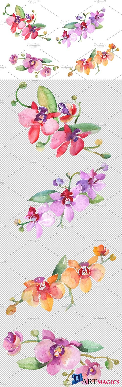 Branch with orchids Watercolor png - 3616010